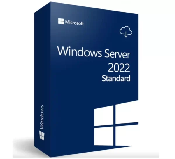 Windows Server Standard 2022 64 BITS